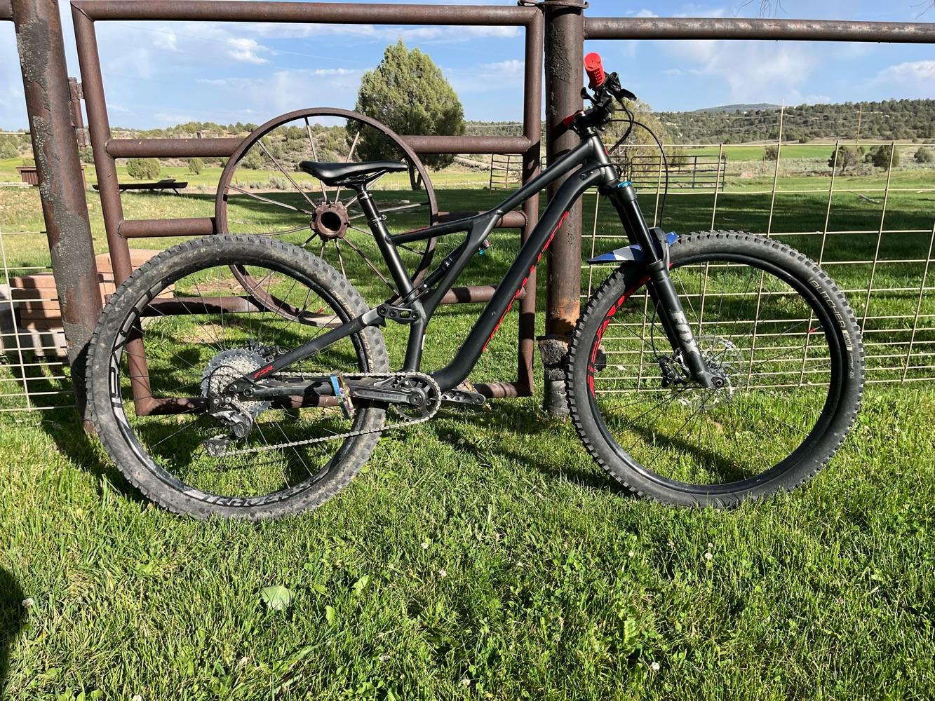 2019 Specialized stumpjumper