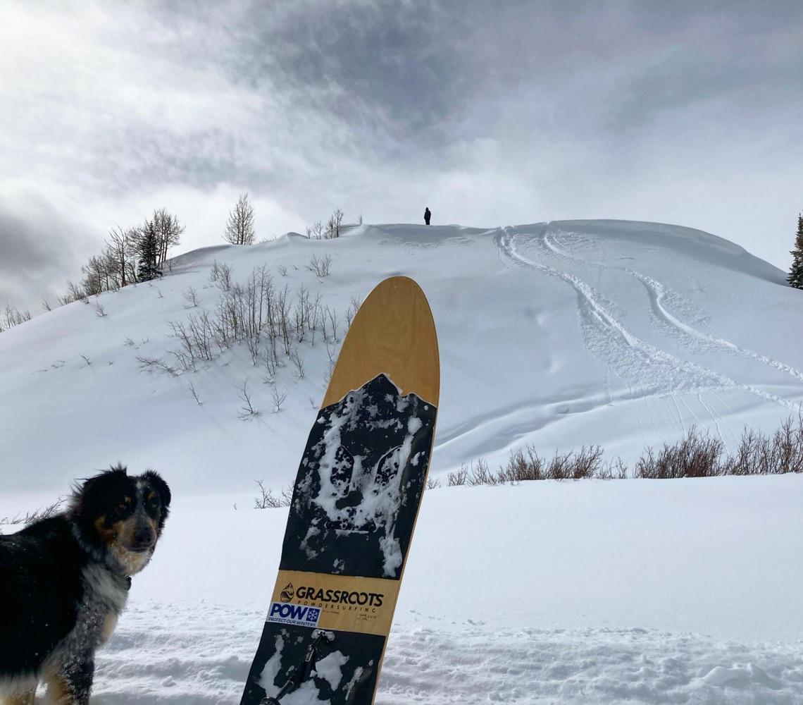 Powder surfer