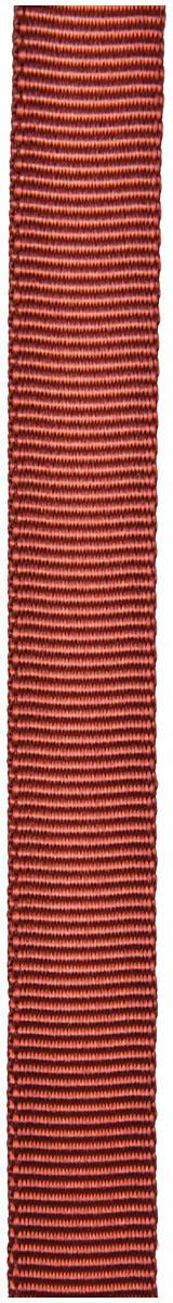 CYPHER 1"X300' TUBE WEBBING