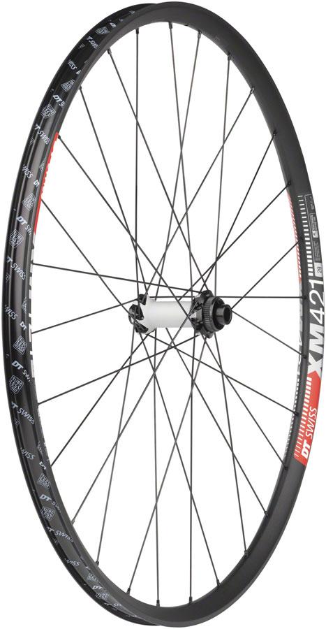 DT Swiss  350/XM421 Front Wheel - 29", 15 x 110mm, Center Lock, Black