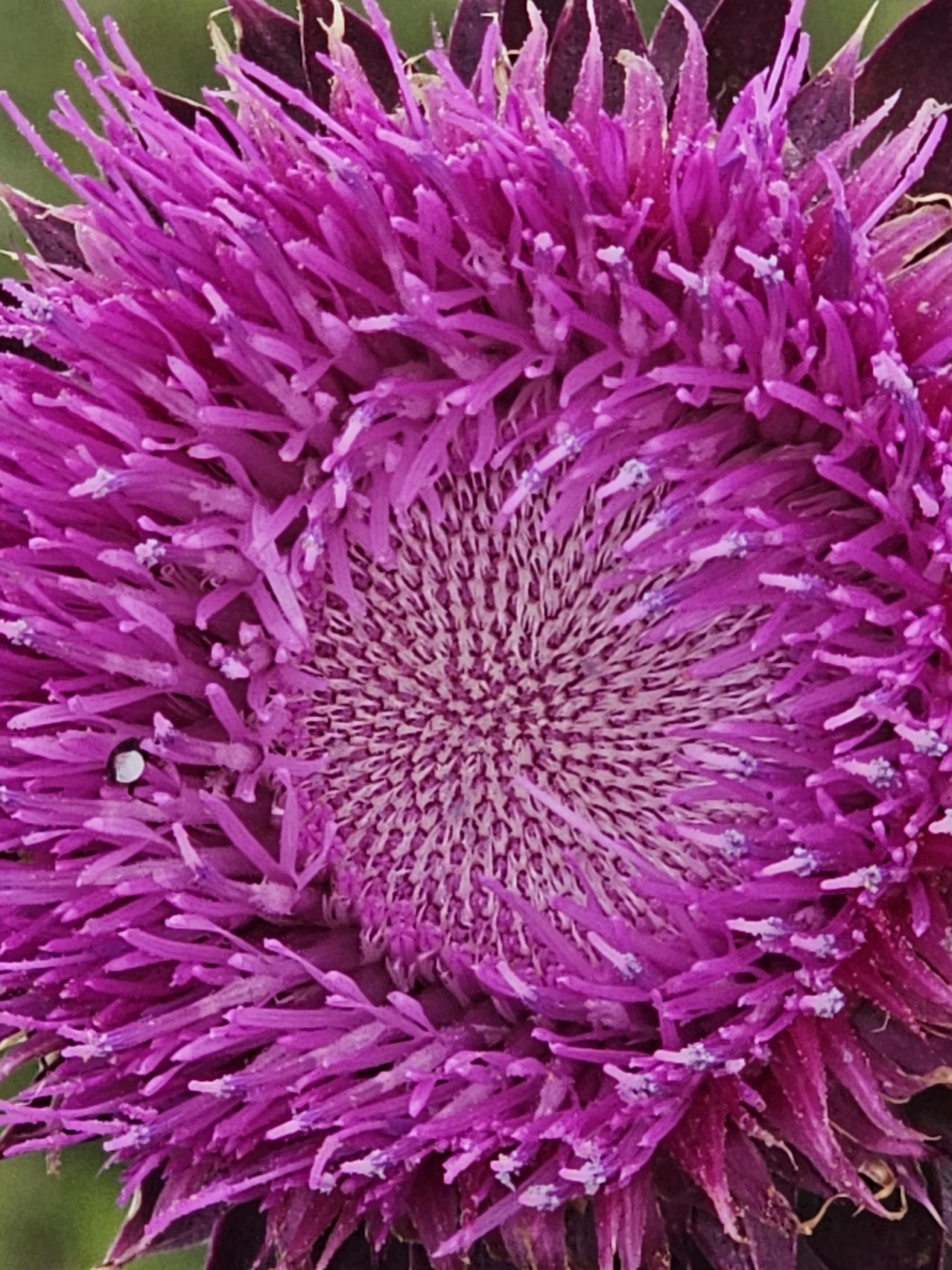 C R