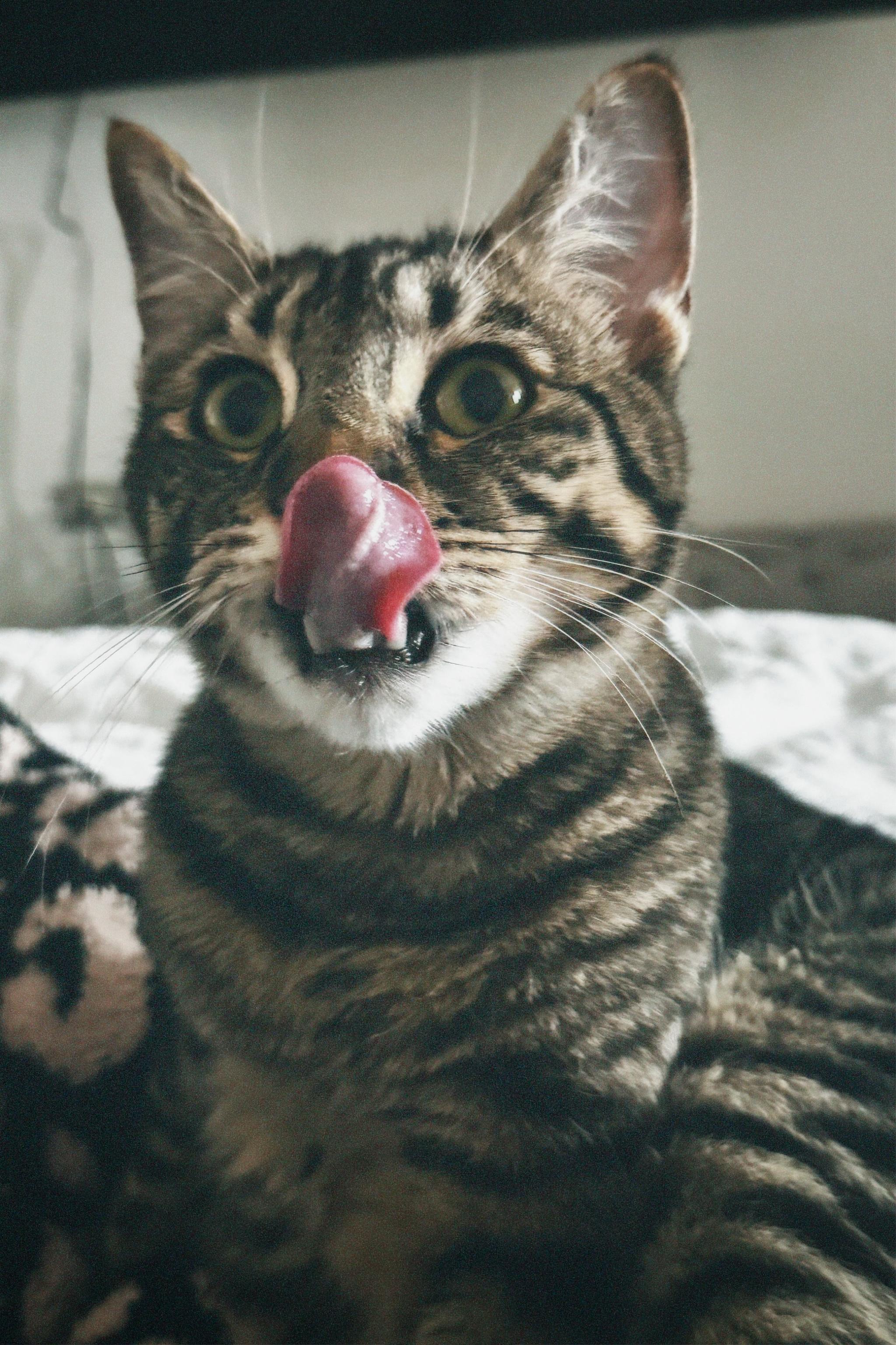 T W