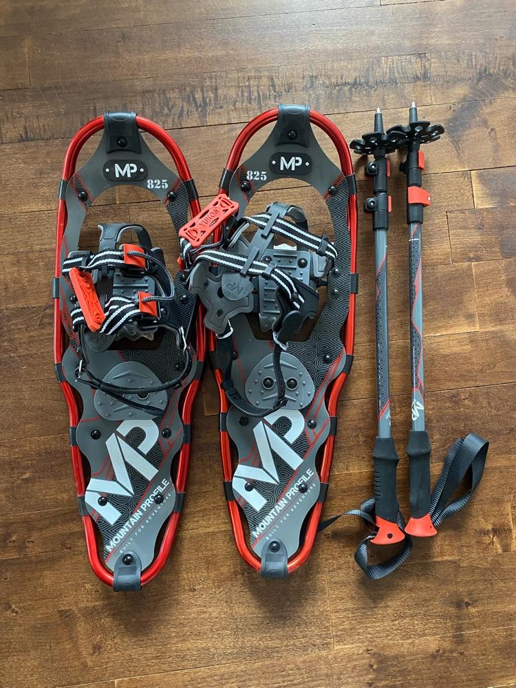 Snowshoes and poles